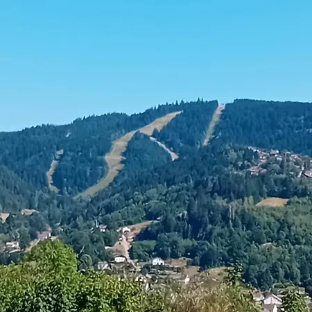 Les Glycines Lejlighed