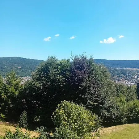 Les Glycines Lejlighed Gérardmer
