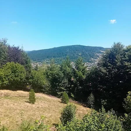 Les Glycines *