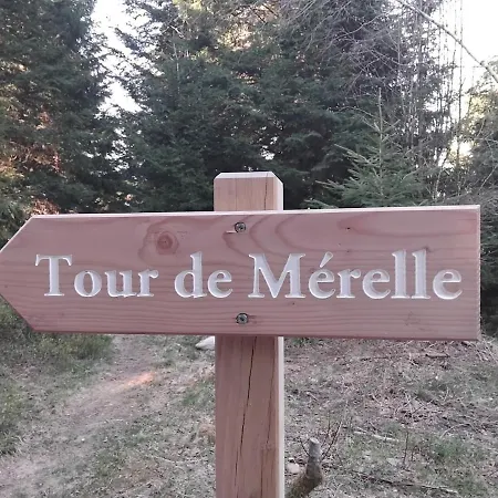 Les Glycines *